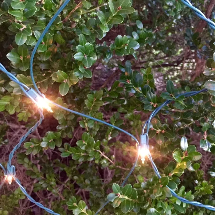 150-bulb Clear (White) Net Lights, Green Wire