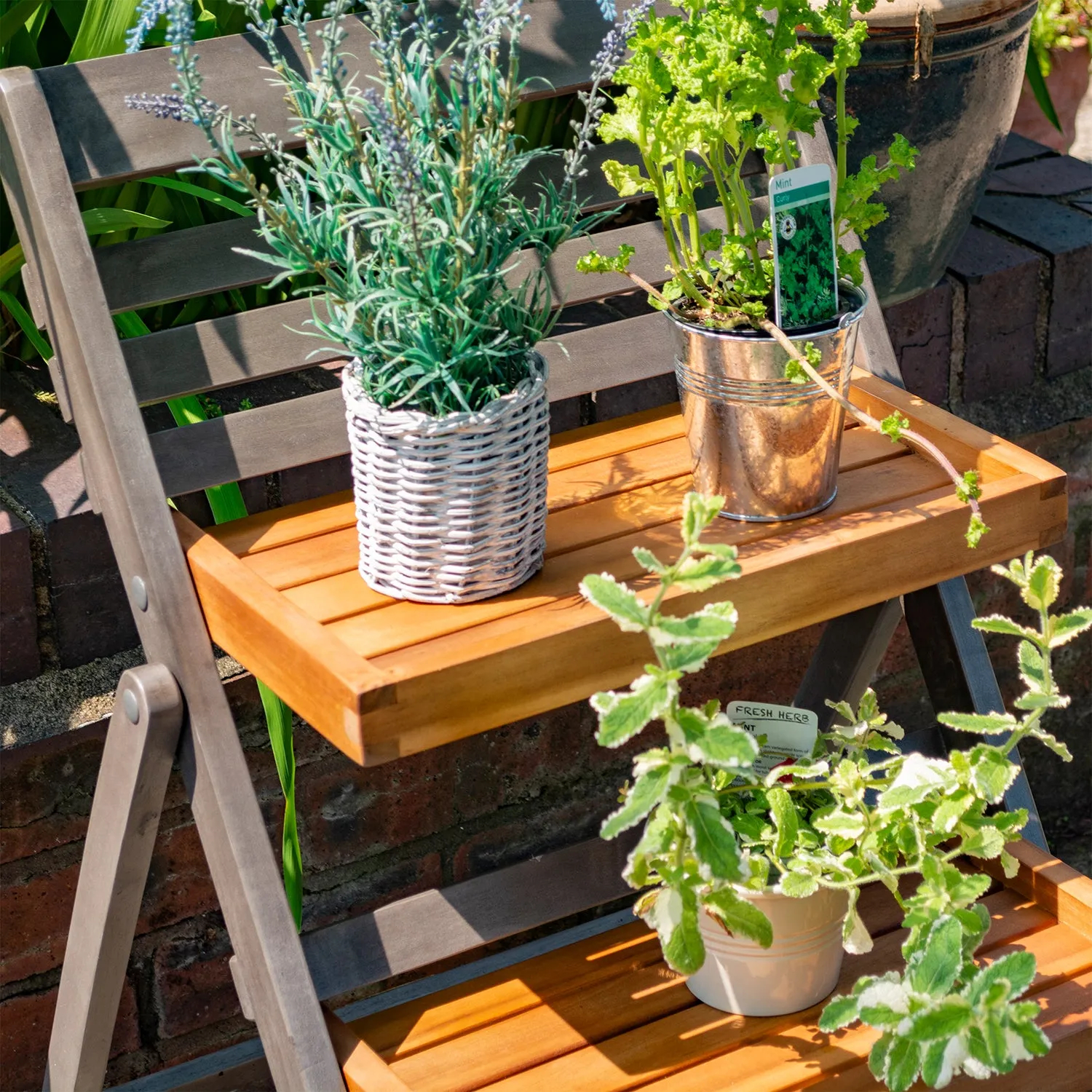 Alderley Hardwood Plant Ladder