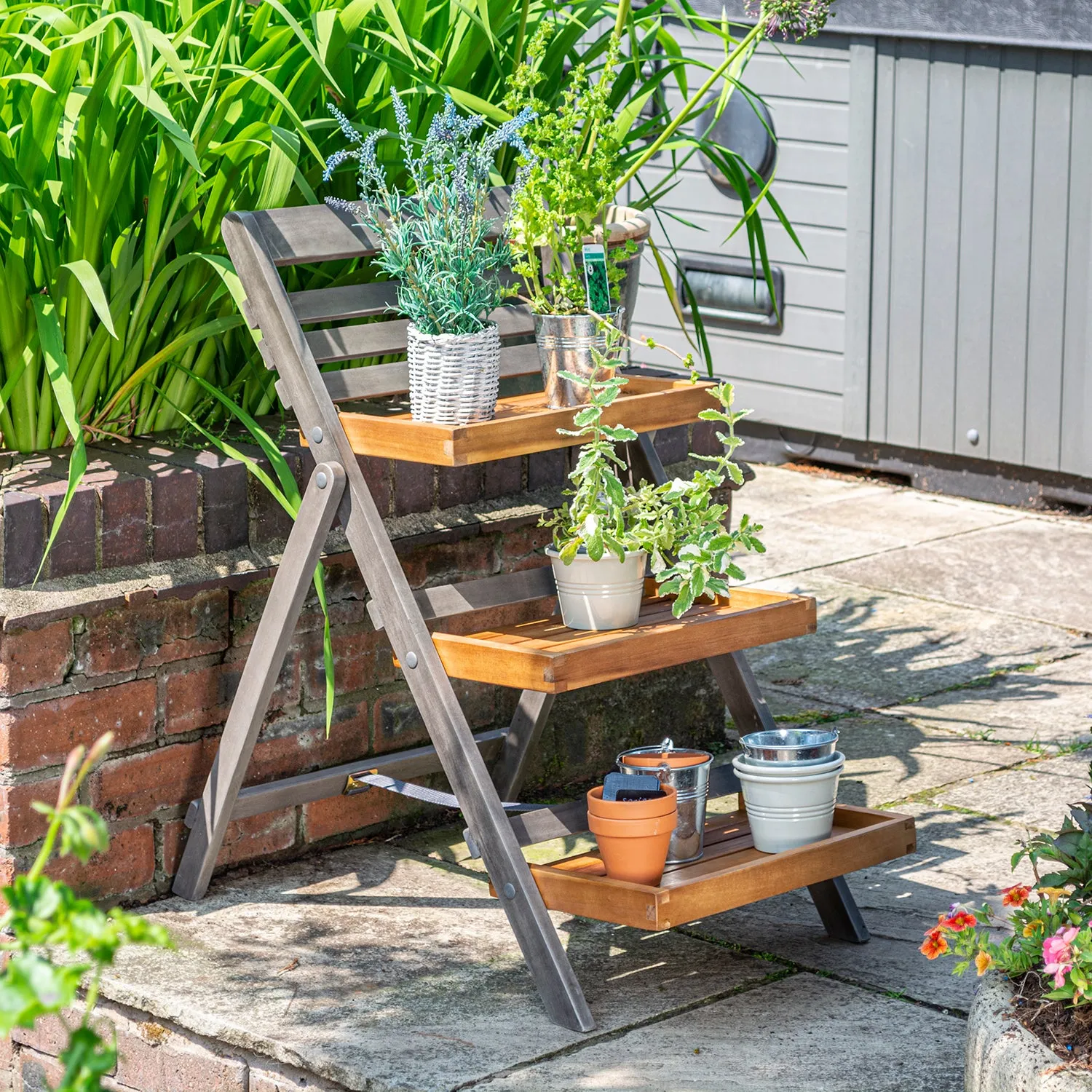 Alderley Hardwood Plant Ladder