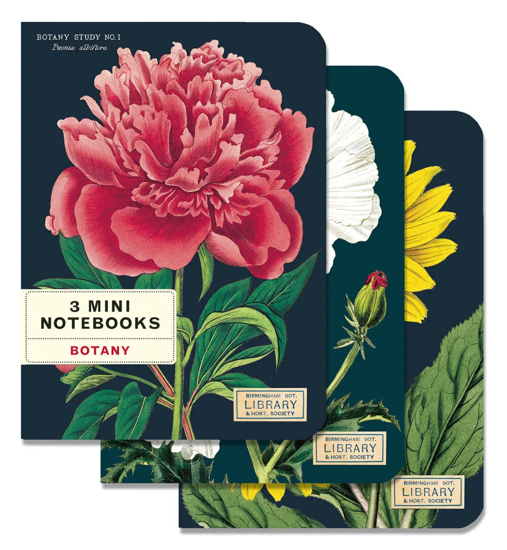 Cavallini & Co. Mini Notebook Sets