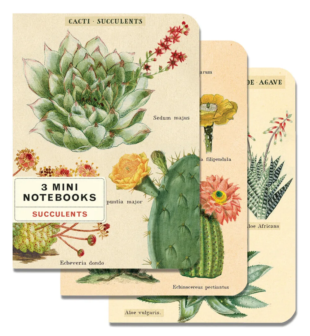 Cavallini & Co. Mini Notebook Sets