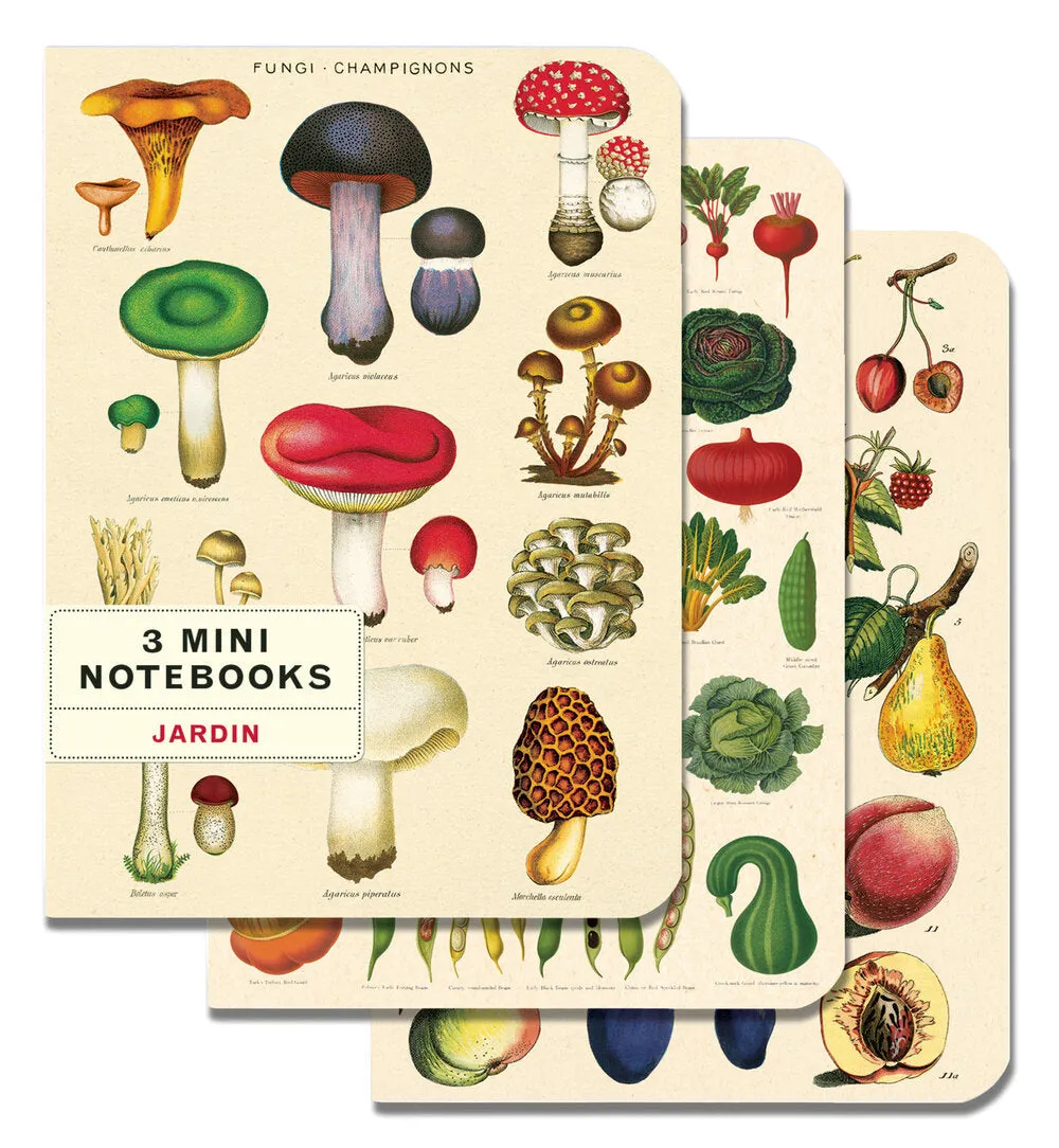 Cavallini & Co. Mini Notebook Sets