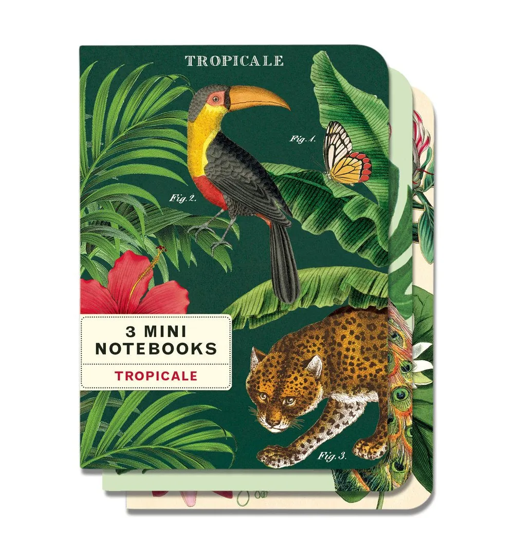 Cavallini & Co. Mini Notebook Sets